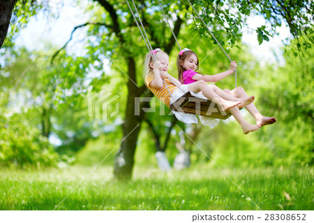 Two cute little sisters having fun on a swing together in beautiful summer garden Two cute little sisters having fun on a swing together in beautiful summer garden 28308652