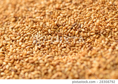 Sesame rice sesame paste 28308792