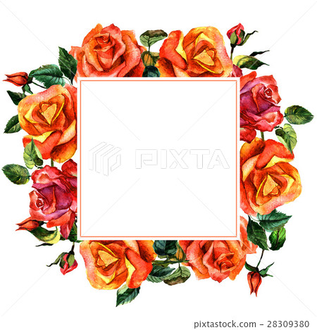 Wildflower rose flower frame in a watercolor style Wildflower rose flower frame in a watercolor style 28309380