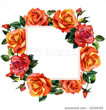 Wildflower rose flower frame in a watercolor style Wildflower rose flower frame in a watercolor style 28309391