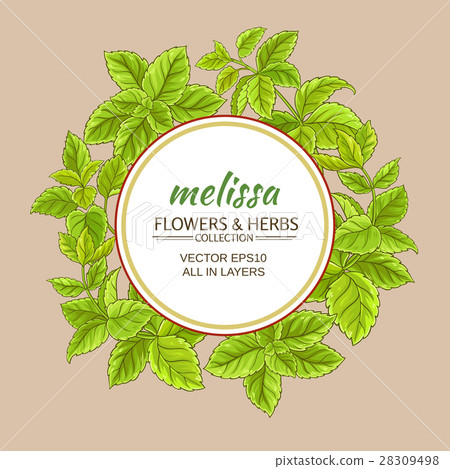 melissa vector frame 28309498