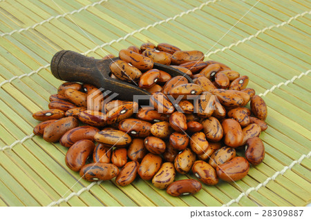 Brown pointed pinto beans on bamboo mat 28309887