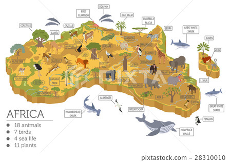 Flat 3d isometric Africa flora and fauna map  28310010