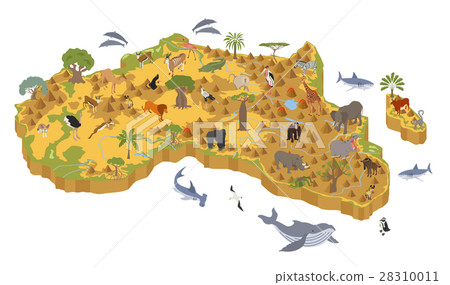 Flat 3d isometric Africa flora and fauna map Flat 3d isometric Africa flora and fauna map 28310011