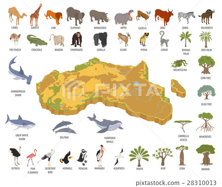 Flat 3d isometric Africa flora and fauna map  28310013