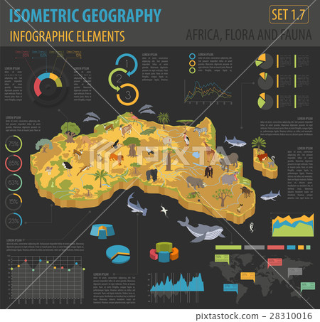 Flat 3d isometric Africa flora and fauna map  28310016