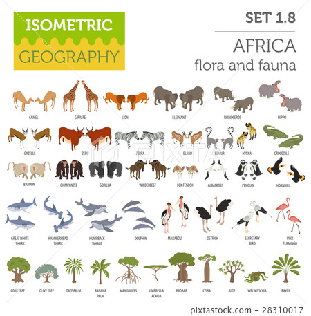 Flat 3d isometric Africa flora and fauna map Flat 3d isometric Africa flora and fauna map 28310017