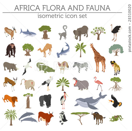 Flat 3d isometric Africa flora and fauna map  28310020
