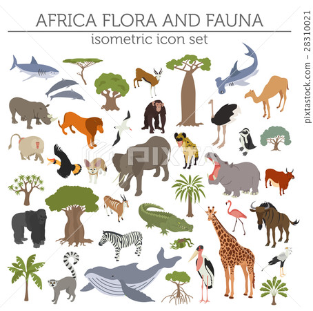Flat 3d isometric Africa flora and fauna map 28310021