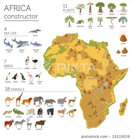 Flat Africa flora and fauna map constructor  28310026