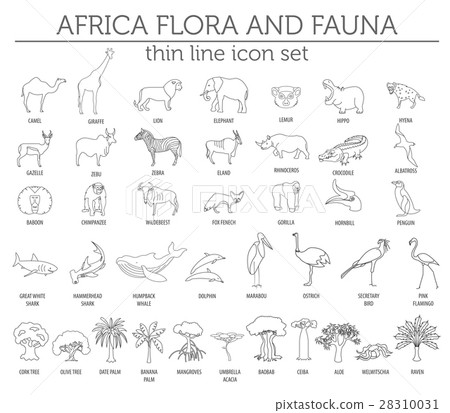 Thin line Africa flora and fauna elements 28310031