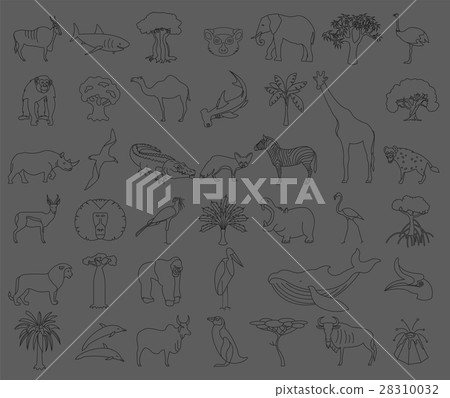 Thin line Africa flora and fauna elements 28310032