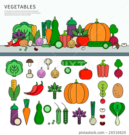 Vegetables set flat line - Stock Illustration [28310820] - PIXTA