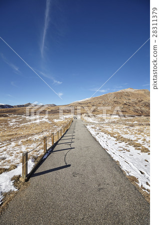 Independence Pass mountain footpath, Colorado, USA 28311379