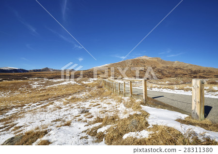 Independence Pass mountain footpath, Colorado, USA 28311380
