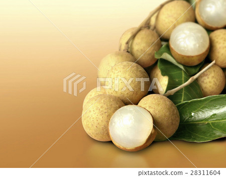 Longan on orange solid background 28311604