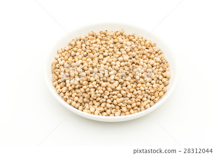高粱(Saumgam):高粱 高粱(Saumgam):高粱 28312044
