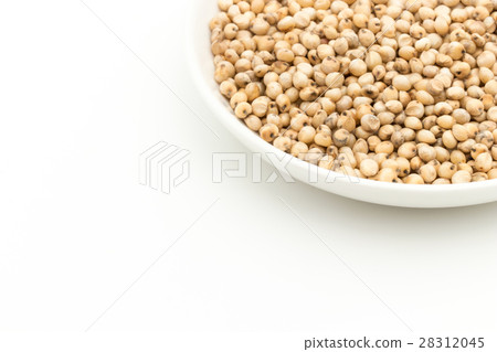高粱(Saumgam):高粱 高粱(Saumgam):高粱 28312045