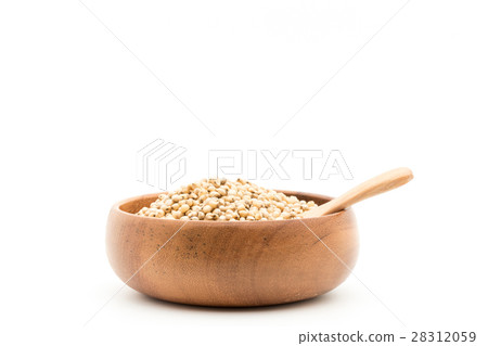 高粱(Saumgam):高粱 高粱(Saumgam):高粱 28312059