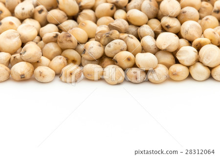 高粱(Saumgam):高粱 高粱(Saumgam):高粱 28312064