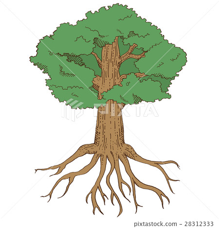 Tree illustration 28312333