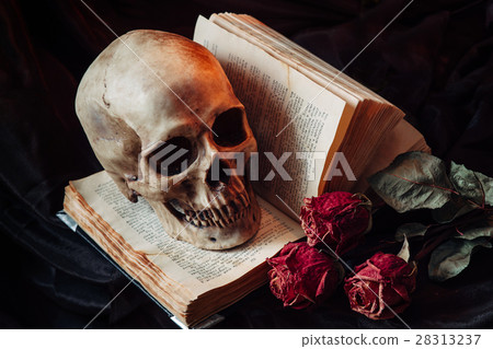 Still life with human skull 28313237