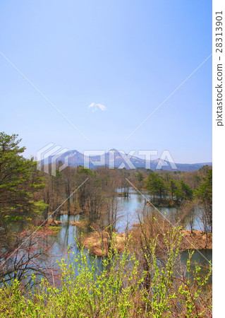 Mid Naka Senuma和Bandai Mountain(Back Bandai) Mid Naka Senuma和Bandai Mountain(Back Bandai) 28313901