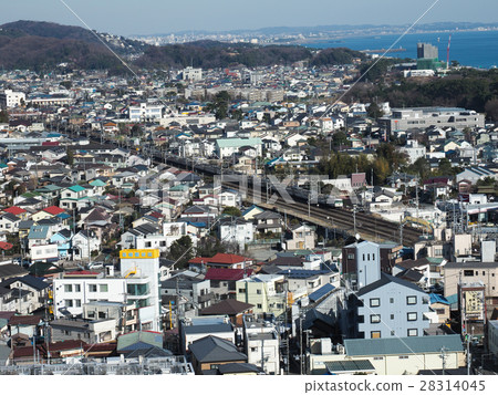 Odoriko going down the Tokaido Line 28314045