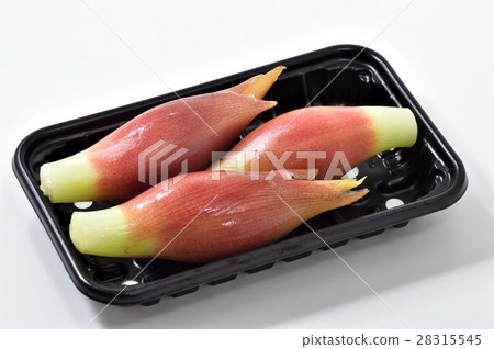 姜mioga 姜mioga 28315545