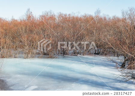 Ice on the river in the spring. 28317427