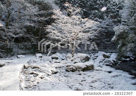 雪蓋 28322307