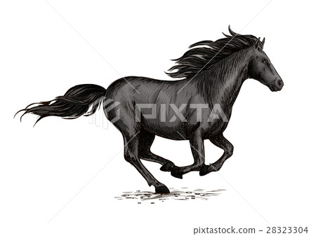 Black horse running on racing sport 28323304