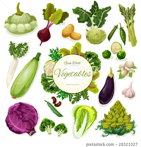 Green vegetables and beans cartoon poster design 28323327