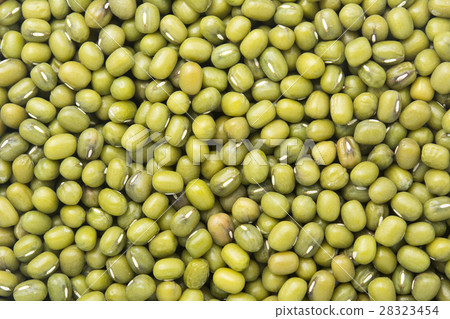 mung beans or green beans background mung beans or green beans background 28323454