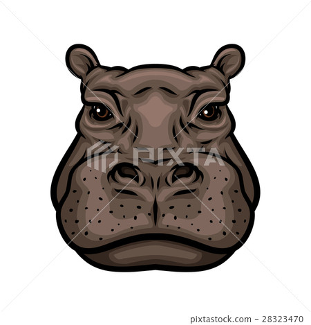Hippo or african hippopotamus animal isolated icon 28323470
