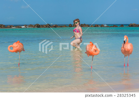 Flamingos beach. Aruba 28325345