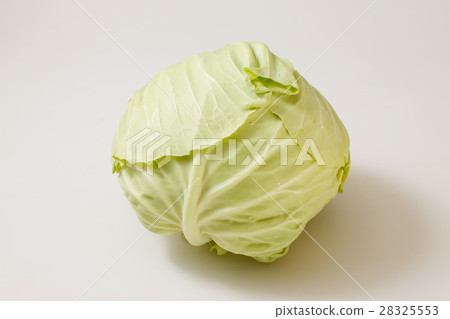 cabbage  28325553