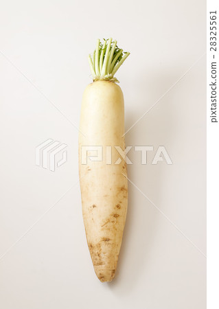 Japanese radish Japanese radish 28325561