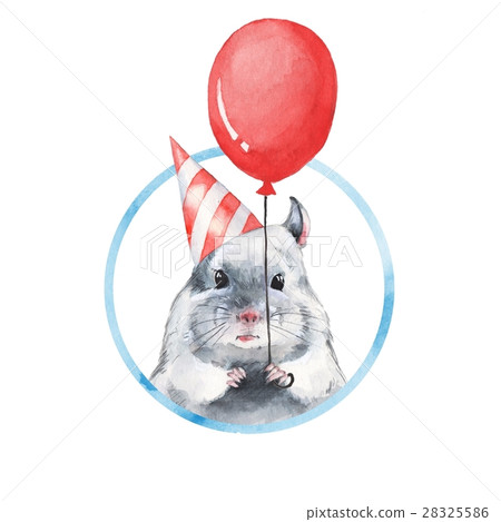 Chinchilla 1. Watercolor birthday card 28325586