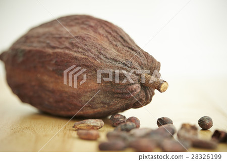 Cacao beans 28326199