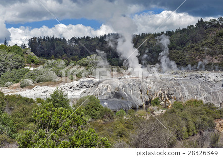Whakarewarewa Geyser in Rotorua, New Zealand Whakarewarewa Geyser in Rotorua, New Zealand 28326349