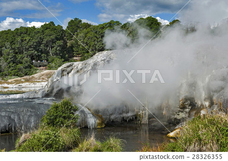 Whakarewarewa Geyser in Rotorua, New Zealand Whakarewarewa Geyser in Rotorua, New Zealand 28326355