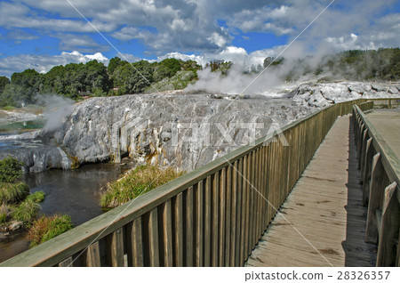 Whakarewarewa Geyser in Rotorua, New Zealand Whakarewarewa Geyser in Rotorua, New Zealand 28326357