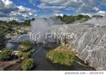 Whakarewarewa Geyser in Rotorua, New Zealand Whakarewarewa Geyser in Rotorua, New Zealand 28326359