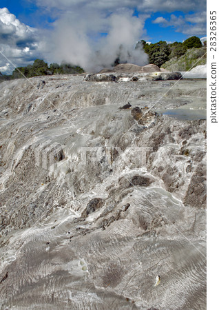Whakarewarewa Geyser in Rotorua, New Zealand Whakarewarewa Geyser in Rotorua, New Zealand 28326365