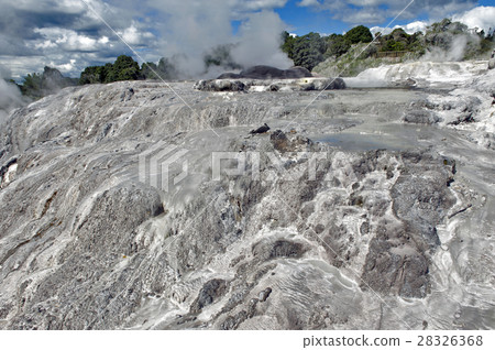 Whakarewarewa Geyser in Rotorua, New Zealand 28326368