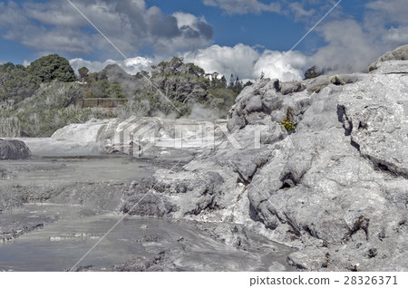 Whakarewarewa Geyser in Rotorua, New Zealand Whakarewarewa Geyser in Rotorua, New Zealand 28326371