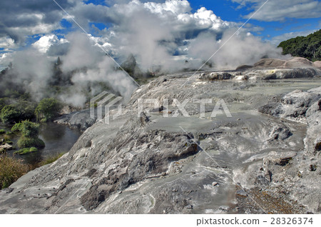 Whakarewarewa Geyser in Rotorua, New Zealand Whakarewarewa Geyser in Rotorua, New Zealand 28326374