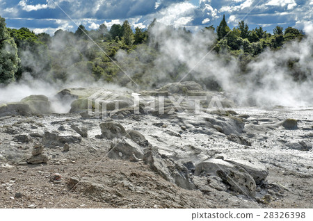 Whakarewarewa Geyser in Rotorua, New Zealand Whakarewarewa Geyser in Rotorua, New Zealand 28326398