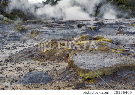 Whakarewarewa Geyser in Rotorua, New Zealand 28326409